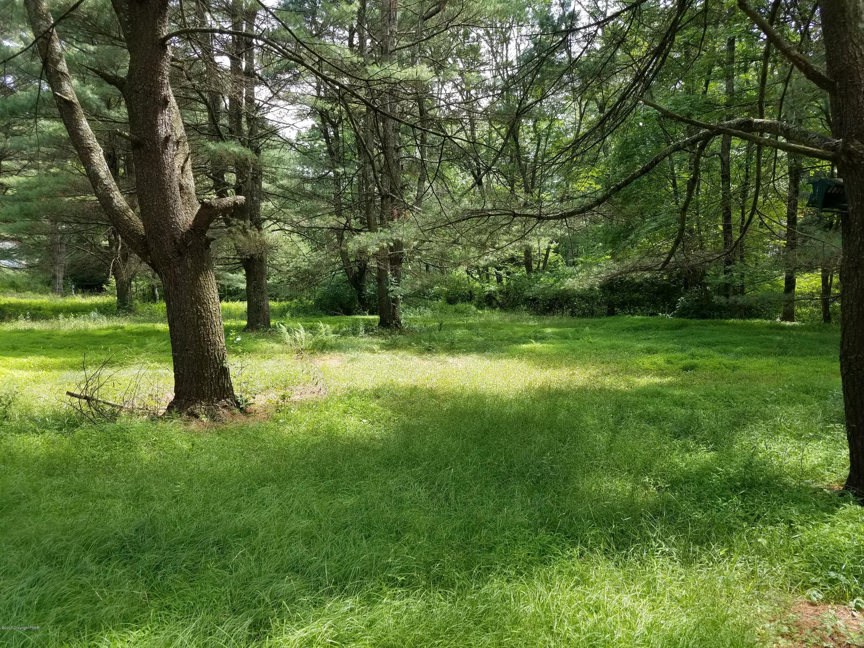 106 Haney Road Kunkletown, PA 18058 - Photo 8 of 20 Yard