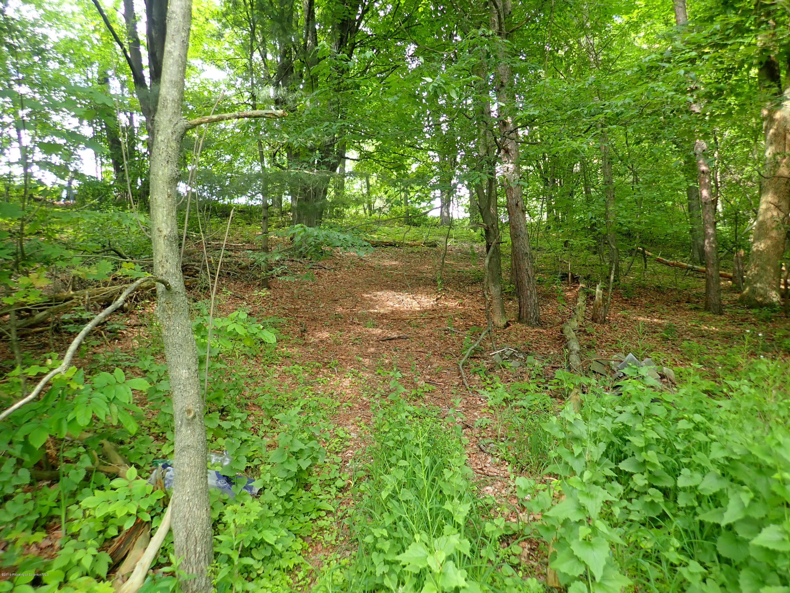 1936 Ridge Road, Unit SOUTH Montrose, PA 18801 - Photo 31 of 34 a view of a green field with lots of bushes