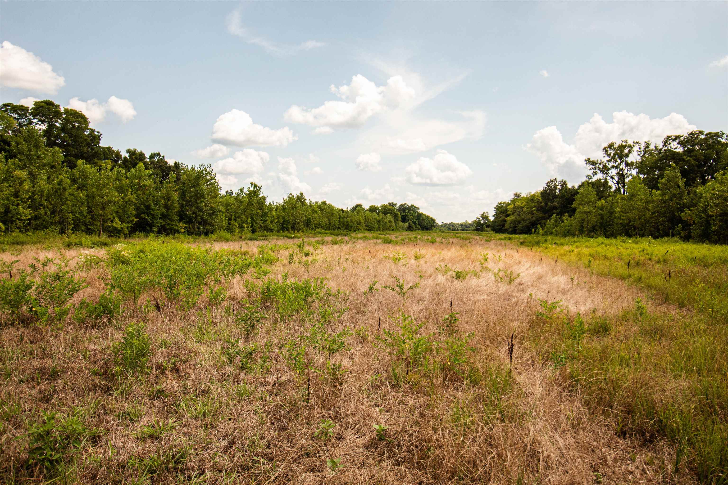 0 Counce Road Robinsonville, MS 38664 - Photo 25 of 40