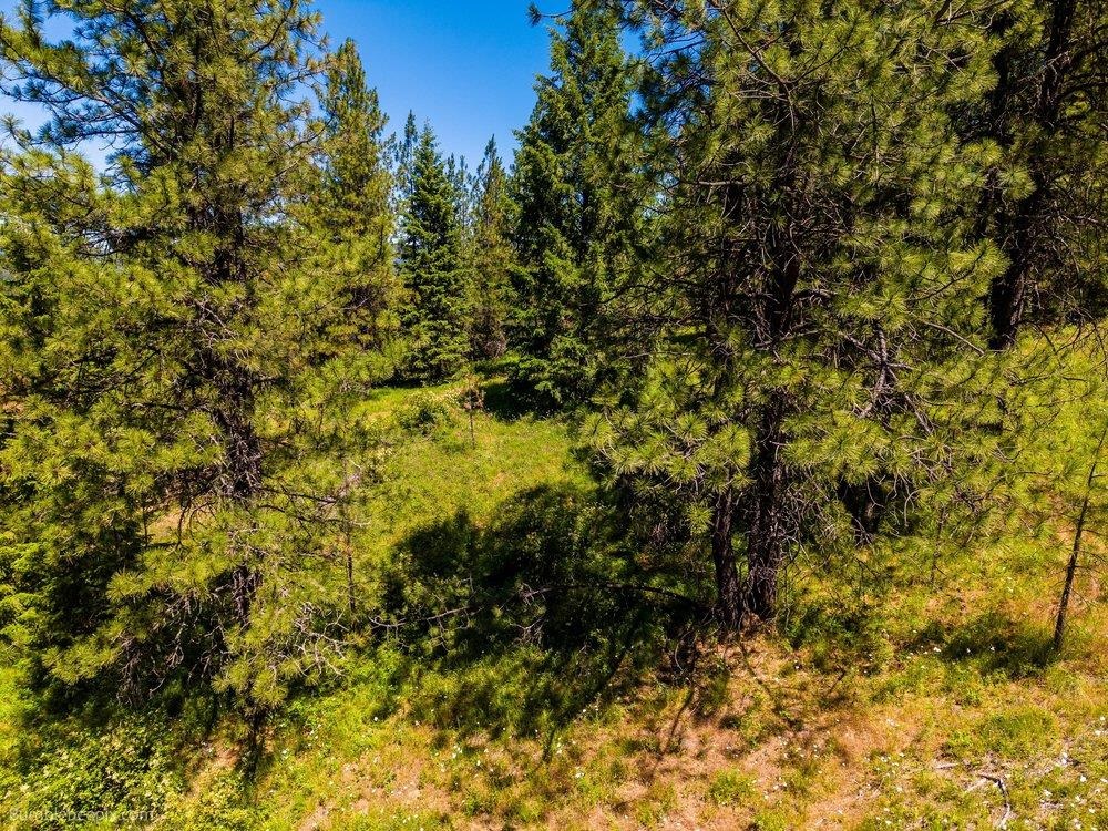 10307 Jasmine Lane Chattaroy, WA 99003 - Photo 26 of 49