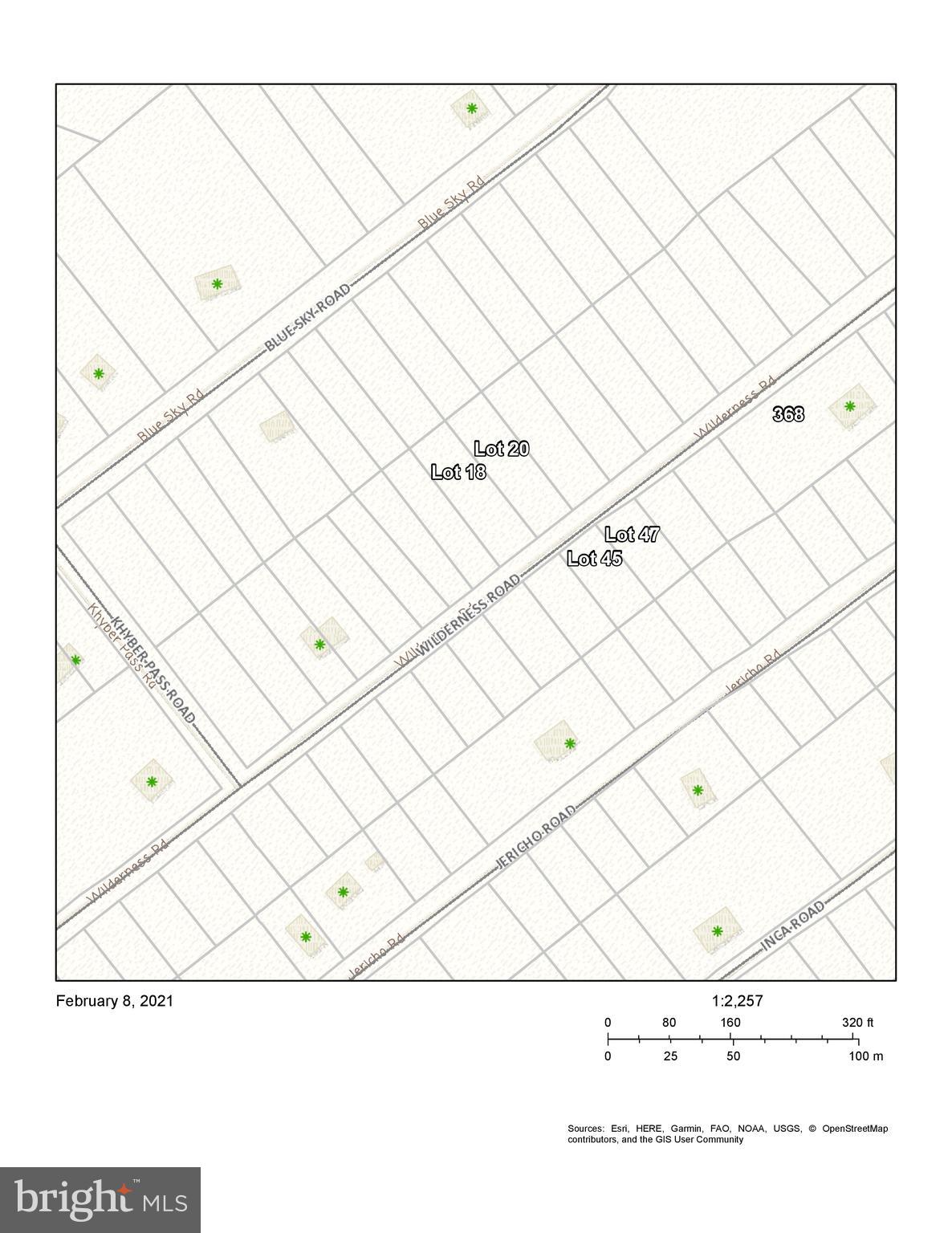 Lot 18-20 Wilderness Road Linden, VA 22642 - Photo 1 of 1
