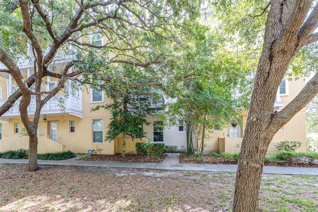 962 Sombra Street Tampa, FL 33619 - Photo 2 of 24 a tree in front of a white house