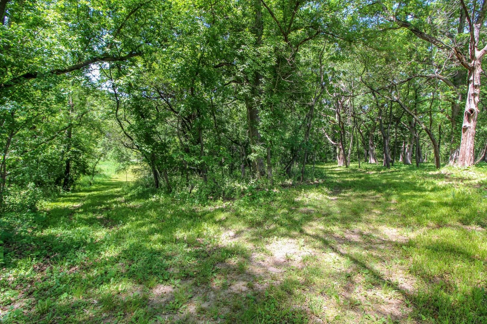 W9650 Rucks Road Cambridge, WI 53523 - Photo 87 of 90