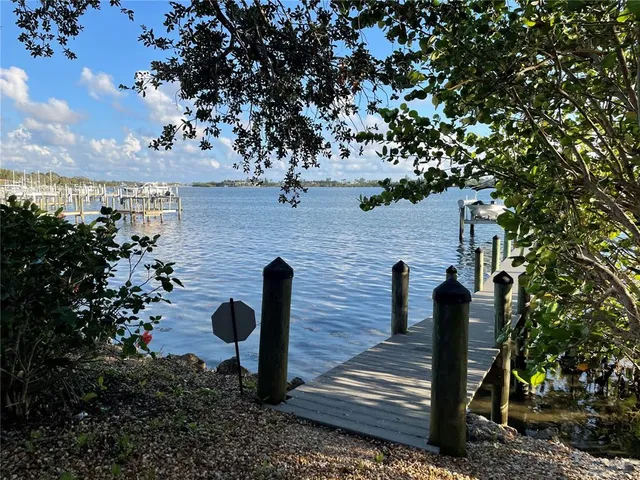 a view of a garden with plants
