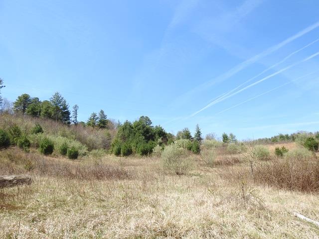 4168 Spring Valley Road Elk Creek, VA 24326 - Photo 1 of 28 Gallery Image 1