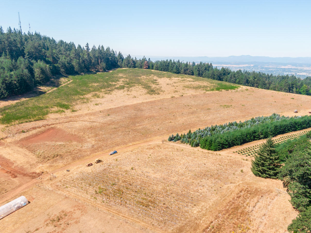 4002 Vitae Springs Road South Salem, OR 97306 - Photo 52 of 53 4002-Vitae-Springs-Rd-S-52
