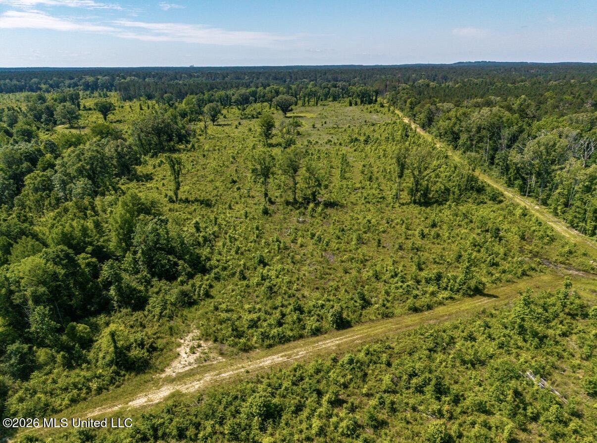 0 East Doc Clark Road Morton, MS 39117 - Photo 18 of 18 IMG_2974