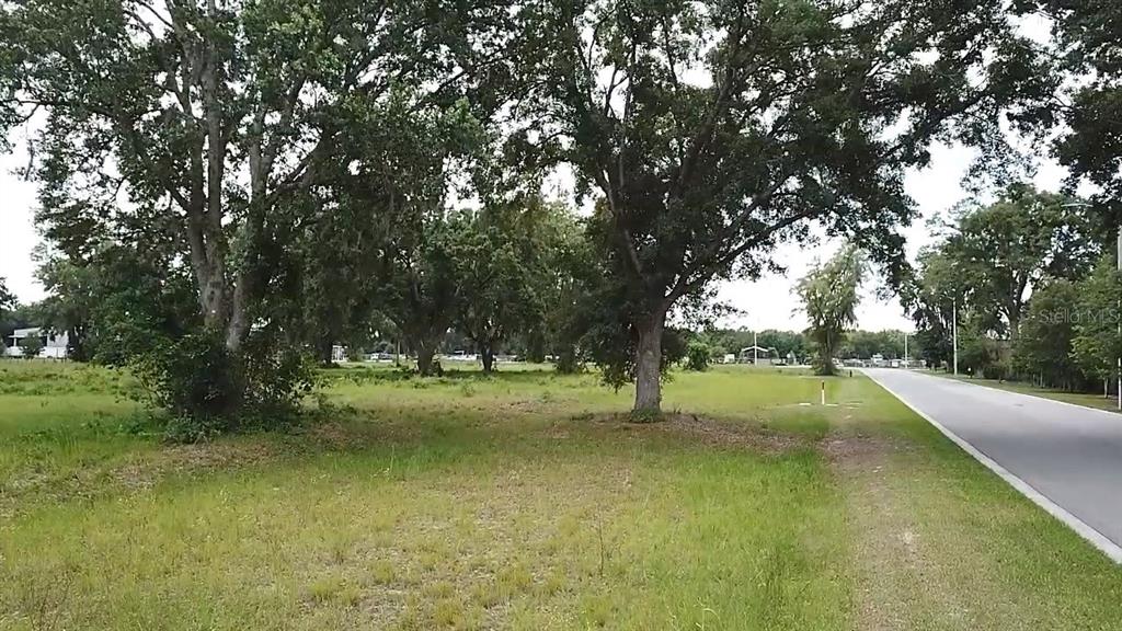1020 Duck Box Road Umatilla, FL 32784 - Photo 9 of 13