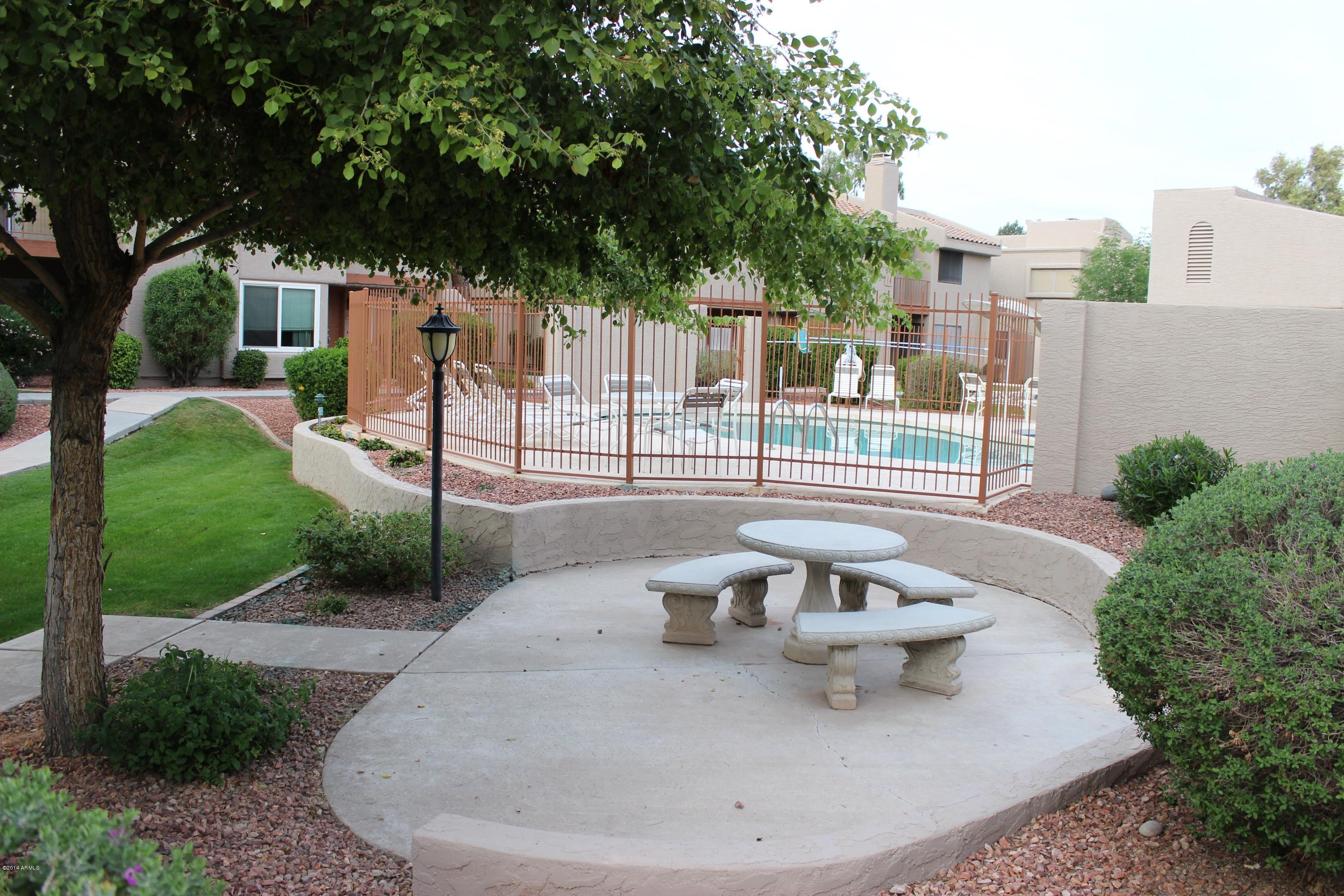 2834 South Ext Road, Unit 2019 Mesa, AZ 85210 - Photo 44 of 44 IMG_1245