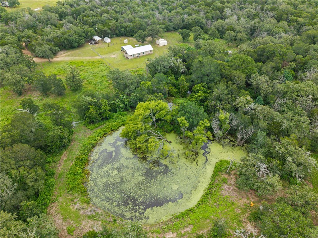 608 Whistleville Road Flatonia, TX 78941 - Photo 23 of 26 The main pond is a fantastic size and features a gorgeous focal point with those mature trees growing right along the waters edge.