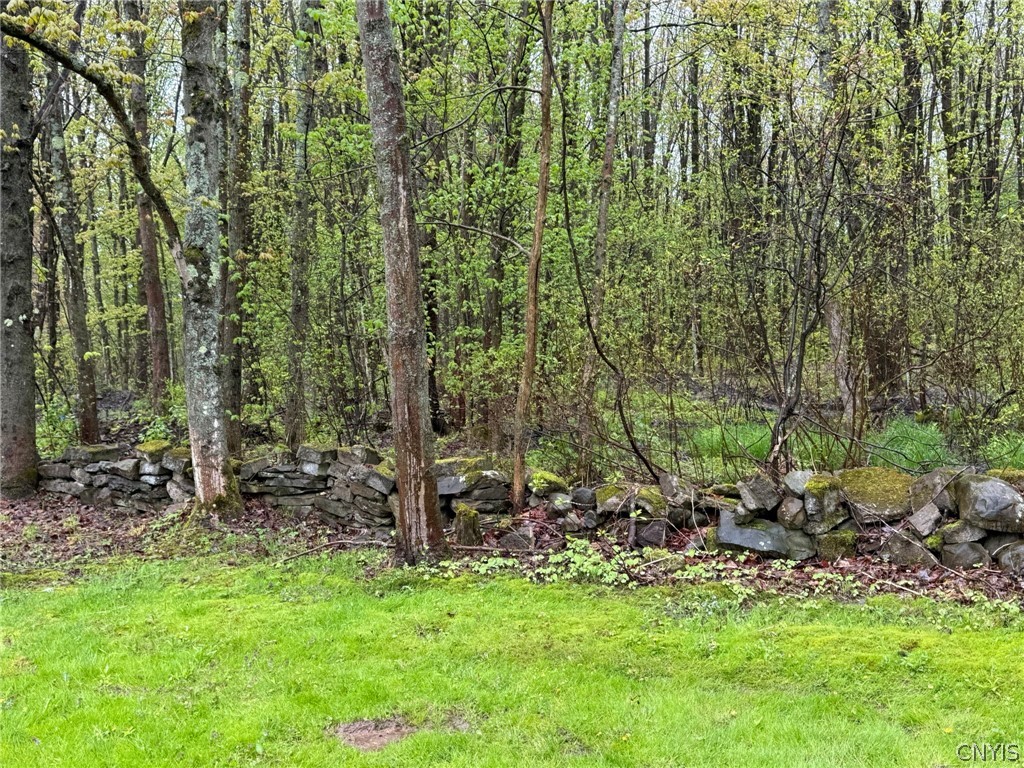 239 County Rte 41A Richland, NY 13142 - Photo 37 of 42