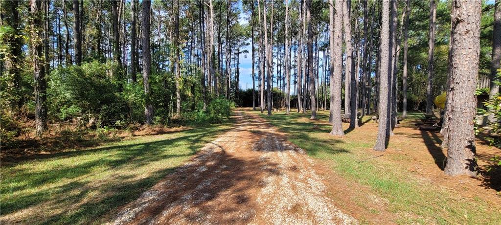 77506 Donnie Road Folsom, LA 70437 - Photo 27 of 32