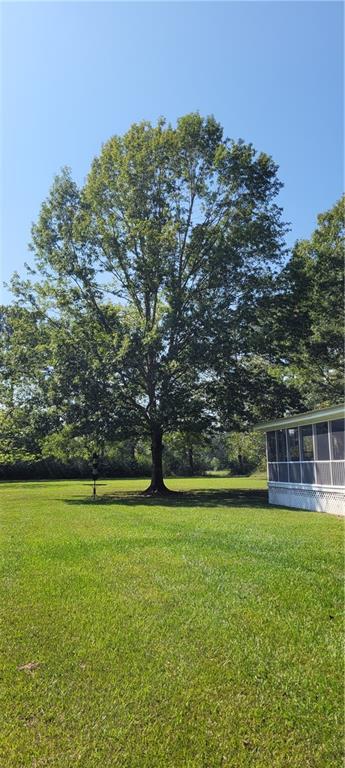 77506 Donnie Road Folsom, LA 70437 - Photo 28 of 32