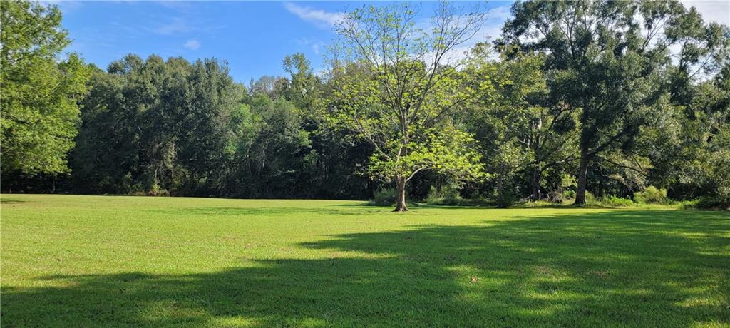 77506 Donnie Road Folsom, LA 70437 - Photo 29 of 32