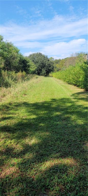 77506 Donnie Road Folsom, LA 70437 - Photo 30 of 32
