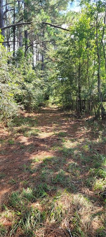77506 Donnie Road Folsom, LA 70437 - Photo 31 of 32