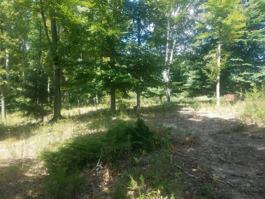 4000-blk South Reeves Road Underwood, IN 47170 - Photo 4 of 6
