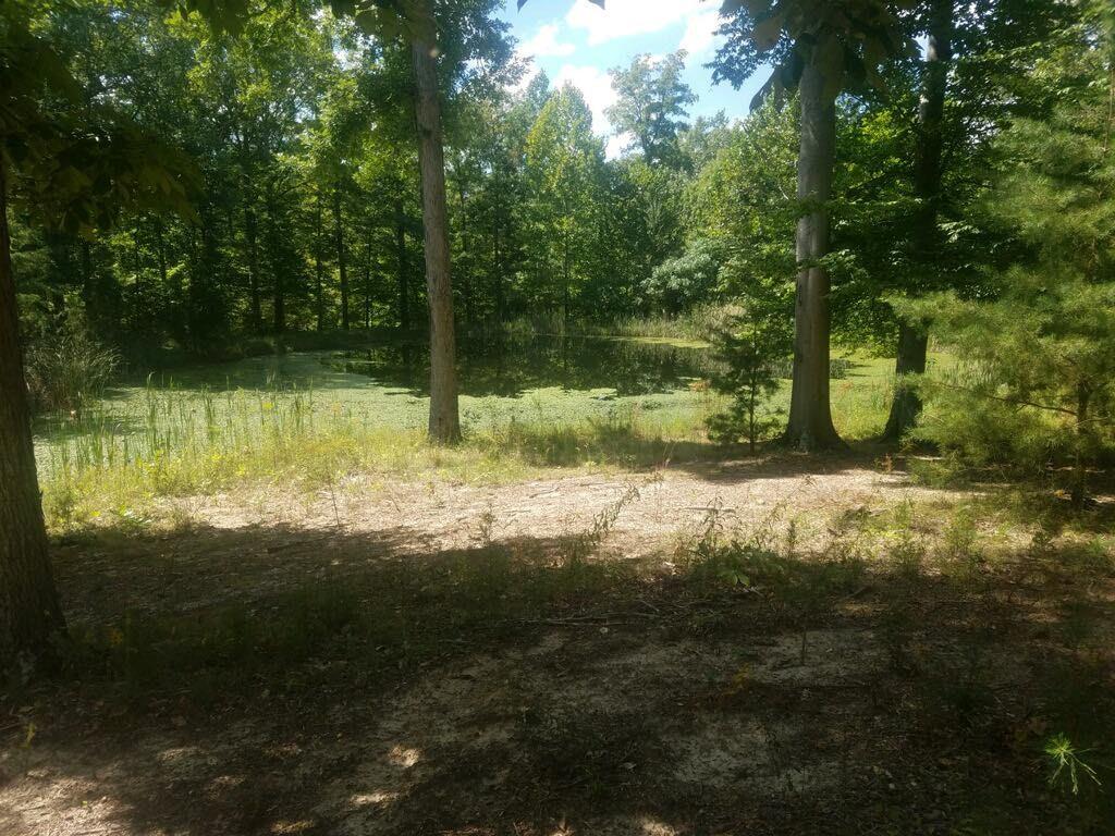 4000-blk South Reeves Road Underwood, IN 47170 - Photo 6 of 6