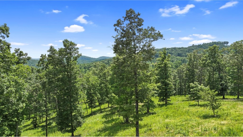 11 Haven Way Blue Ridge, GA 30513 - Photo 13 of 21