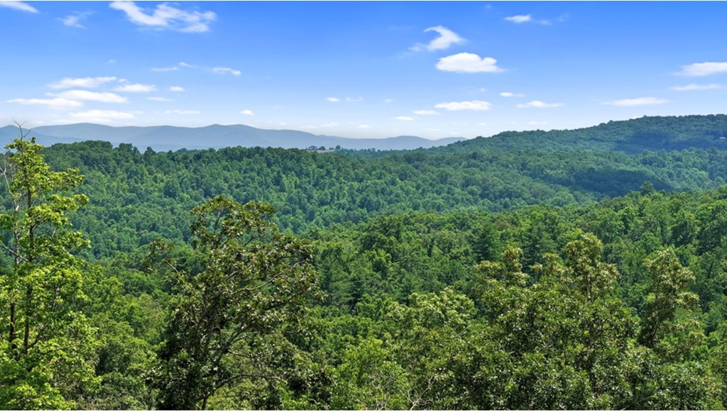 11 Haven Way Blue Ridge, GA 30513 - Photo 17 of 21