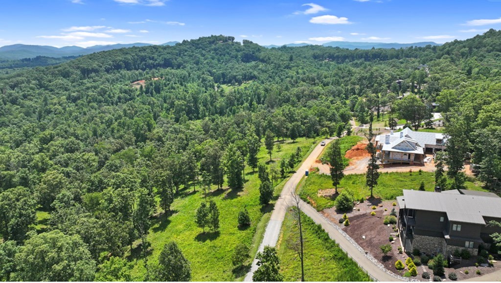 11 Haven Way Blue Ridge, GA 30513 - Photo 2 of 21