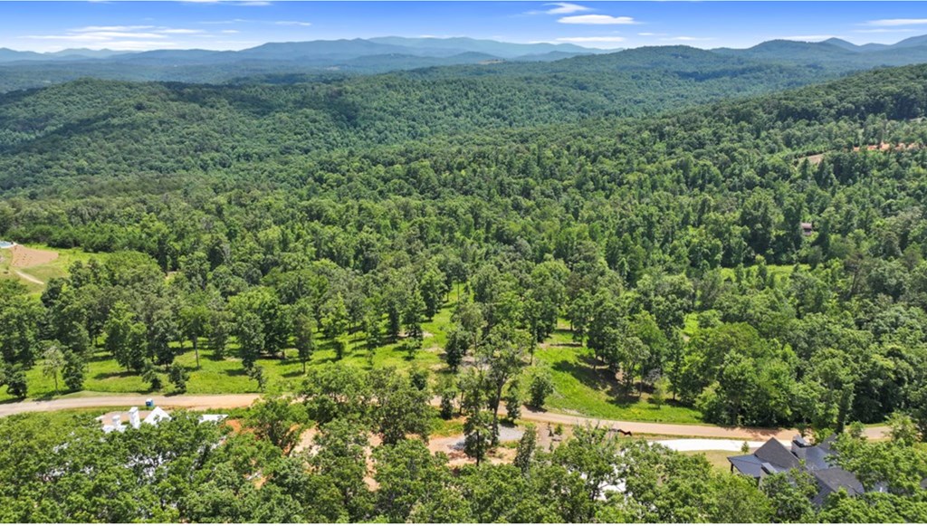 11 Haven Way Blue Ridge, GA 30513 - Photo 3 of 21