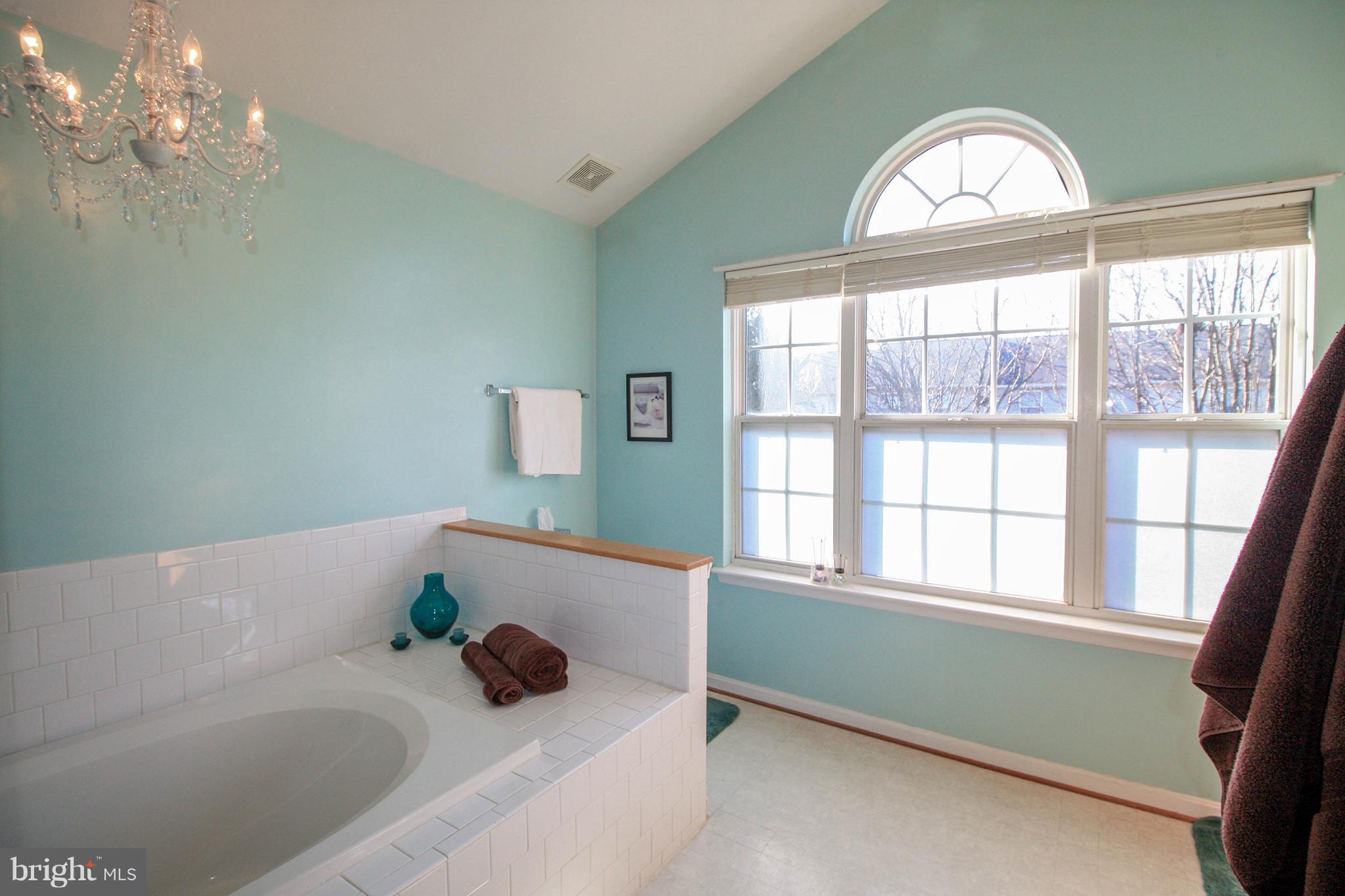 1314 Roman Ridge Way Bel Air, MD 21014 - Photo 17 of 30 Bath (Master)