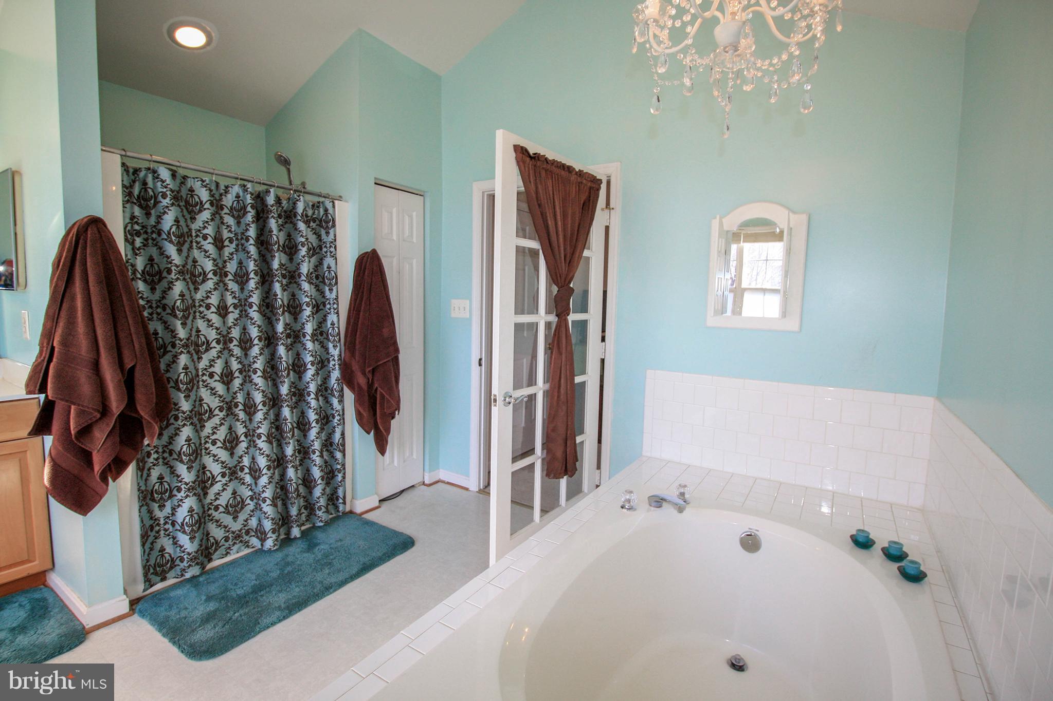 1314 Roman Ridge Way Bel Air, MD 21014 - Photo 18 of 30 Bath (Master)