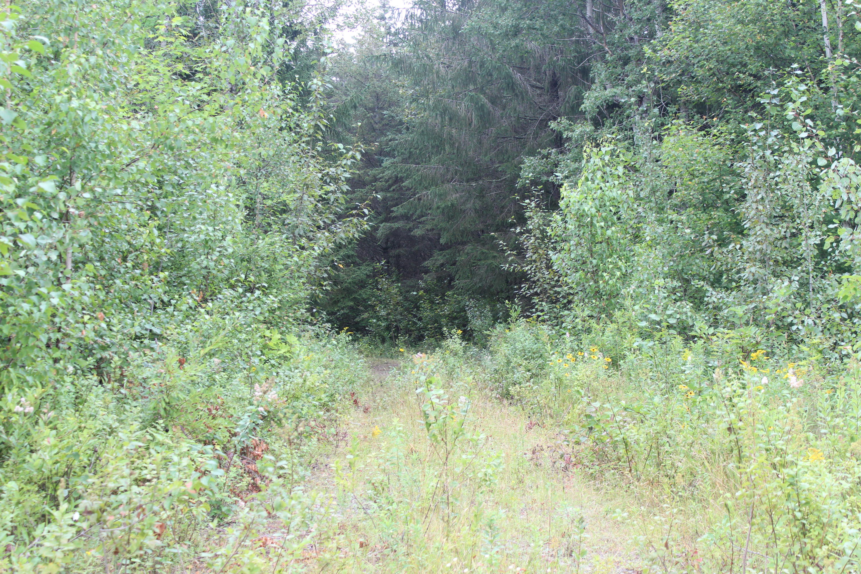 M12-l24b Clark Road Patten, ME 04765 - Photo 1 of 12 IMG_1508