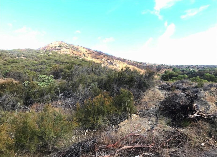 0 Gully View Drive Anza, CA 92539 - Photo 4 of 9 a view of a mountain range with trees in the background