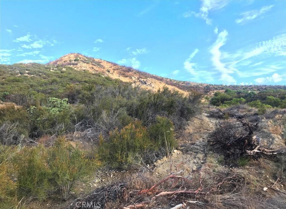 0 Gully View Drive Anza, CA 92539 - Photo 5 of 9 a view of a dry yard