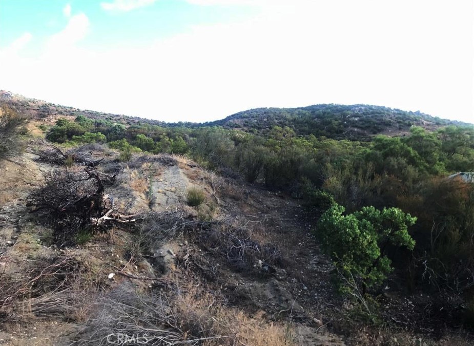 0 Gully View Drive Anza, CA 92539 - Photo 6 of 9