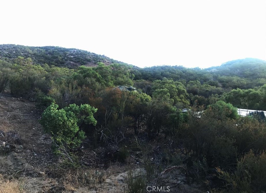 0 Gully View Drive Anza, CA 92539 - Photo 7 of 9