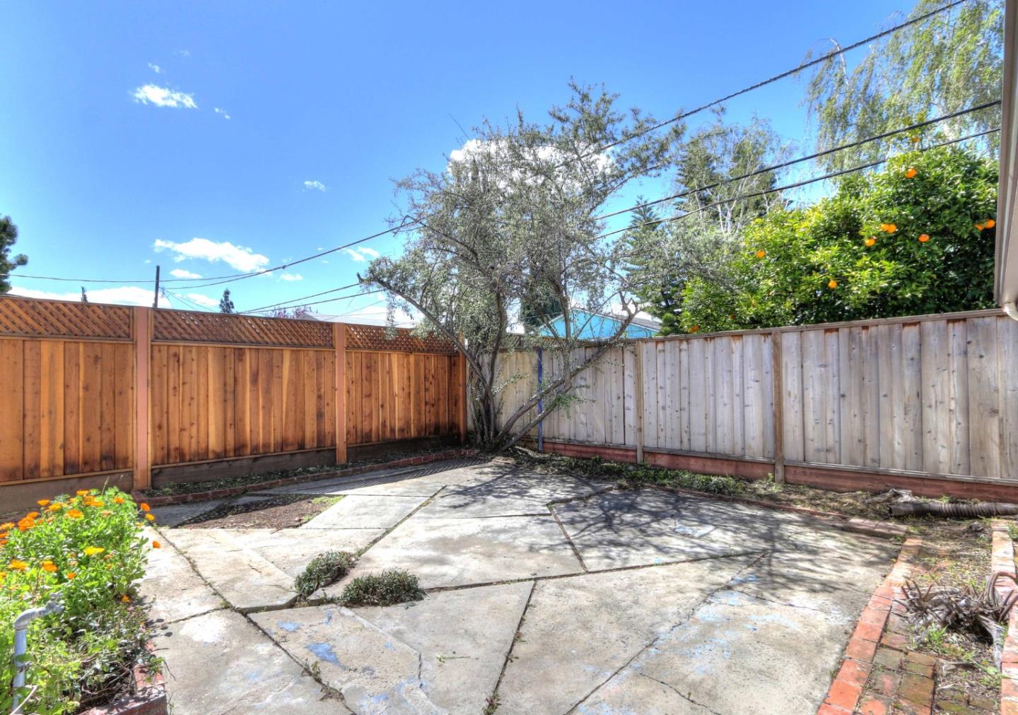 553 Rutland Avenue San Jose, CA 95128 - Photo 17 of 20 a view of wooden fence