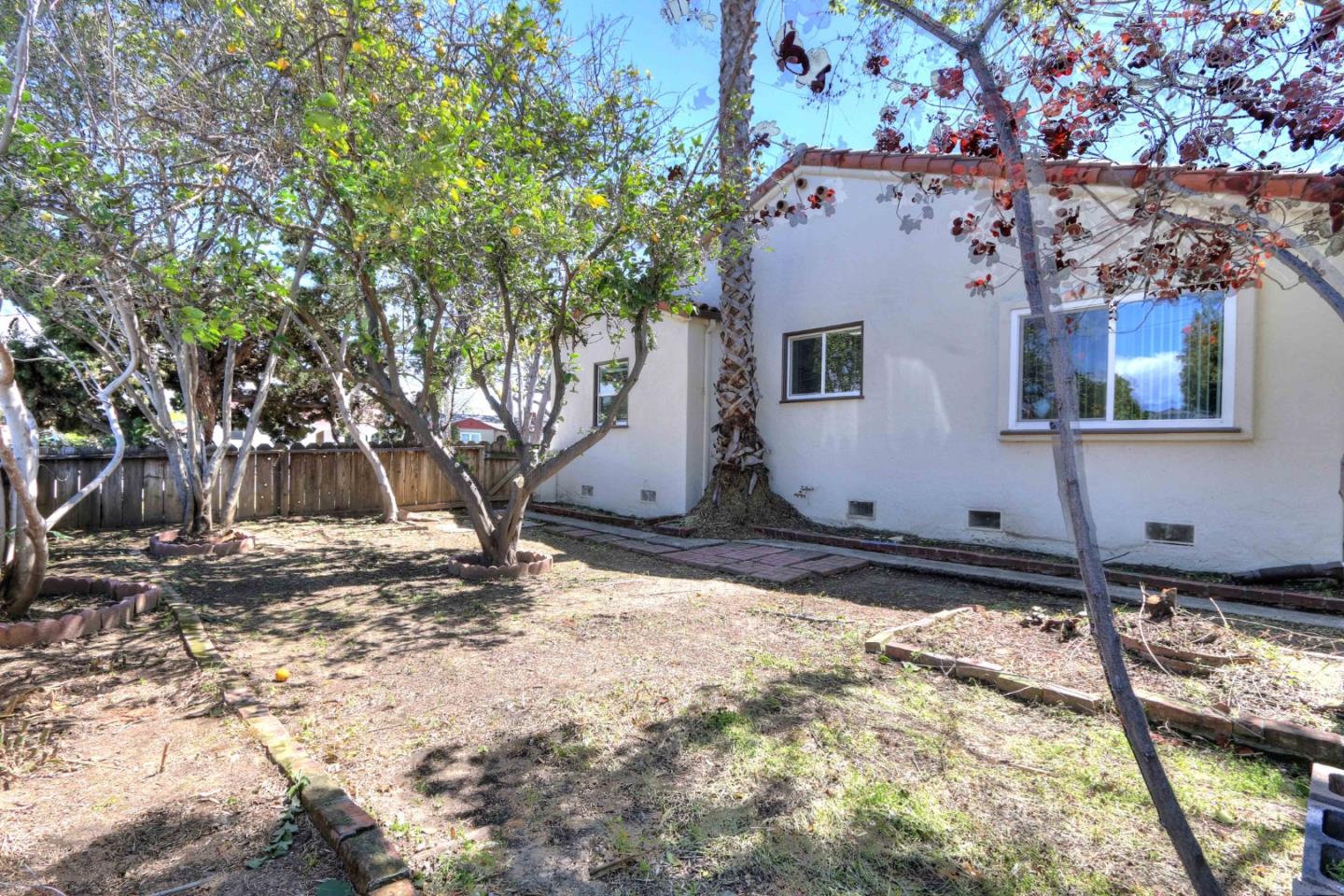 553 Rutland Avenue San Jose, CA 95128 - Photo 18 of 20 a view of a house with backyard and trees