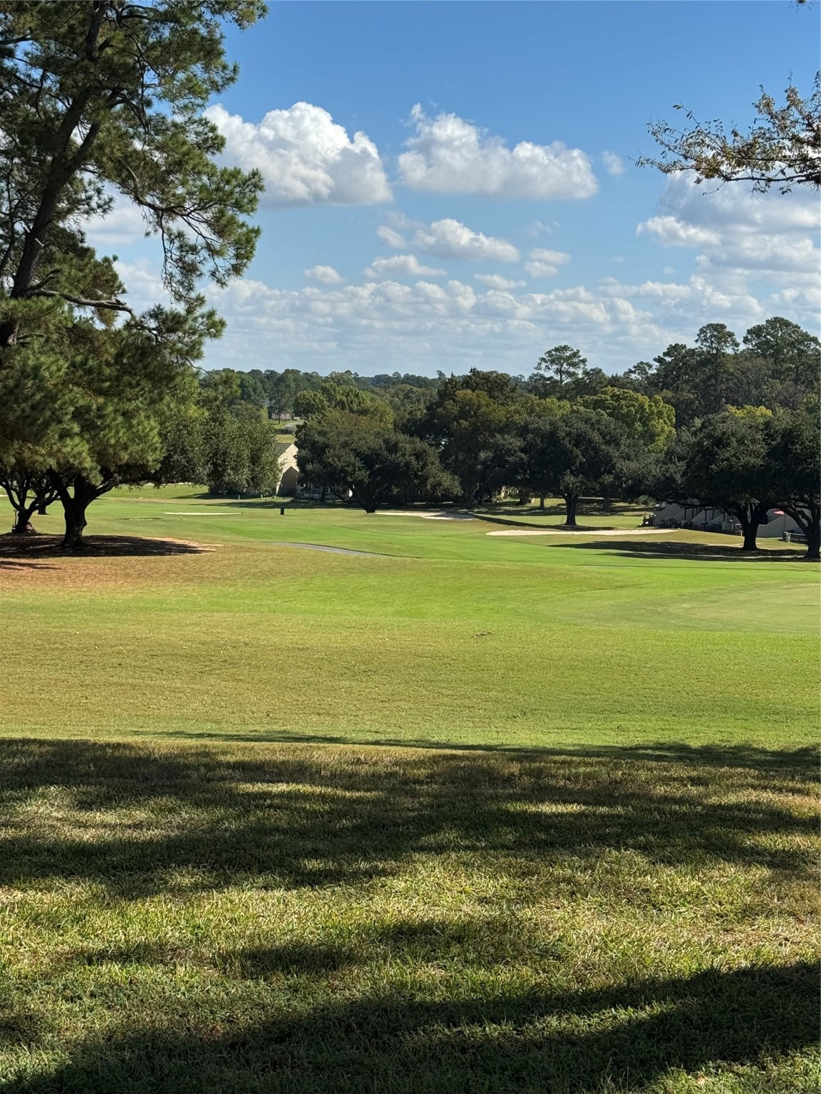 1425 April Villas Conroe, TX 77356 - Photo 12 of 16