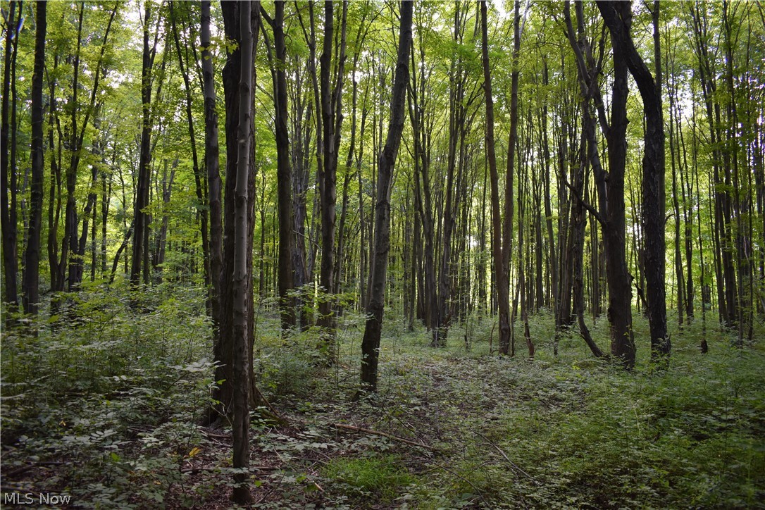 1000 State Road Kingsville, OH 44048 - Photo 26 of 29 Gallery Image 26