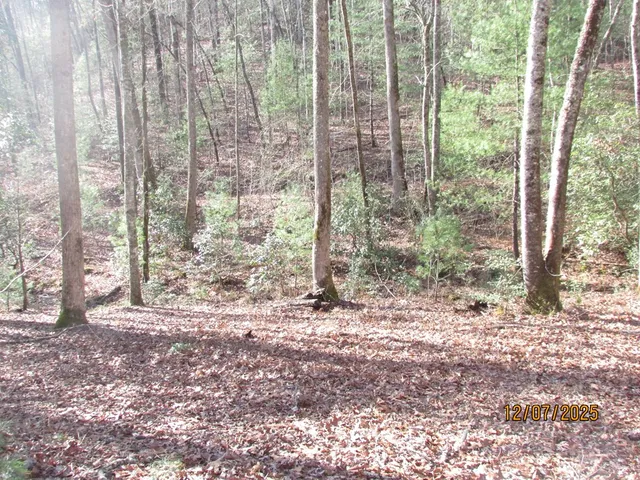 $499,900 | 175 Broadtree Ridge, Hayesville, NC 28904