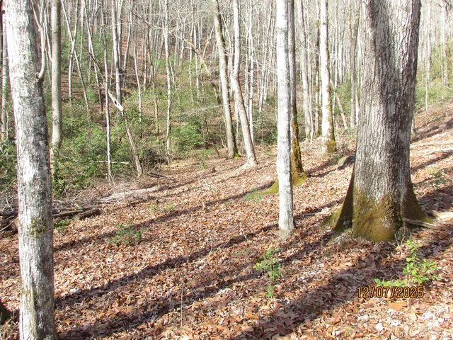 $499,900 | 175 Broadtree Ridge, Hayesville, NC 28904