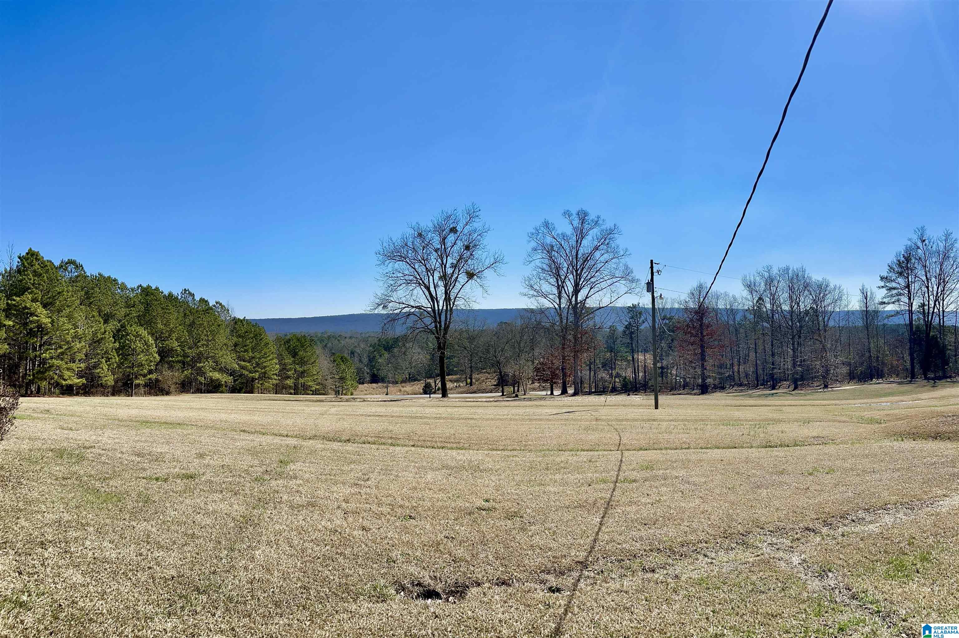 11004 Tabor Road Collinsville, AL 35961 - Photo 19 of 19