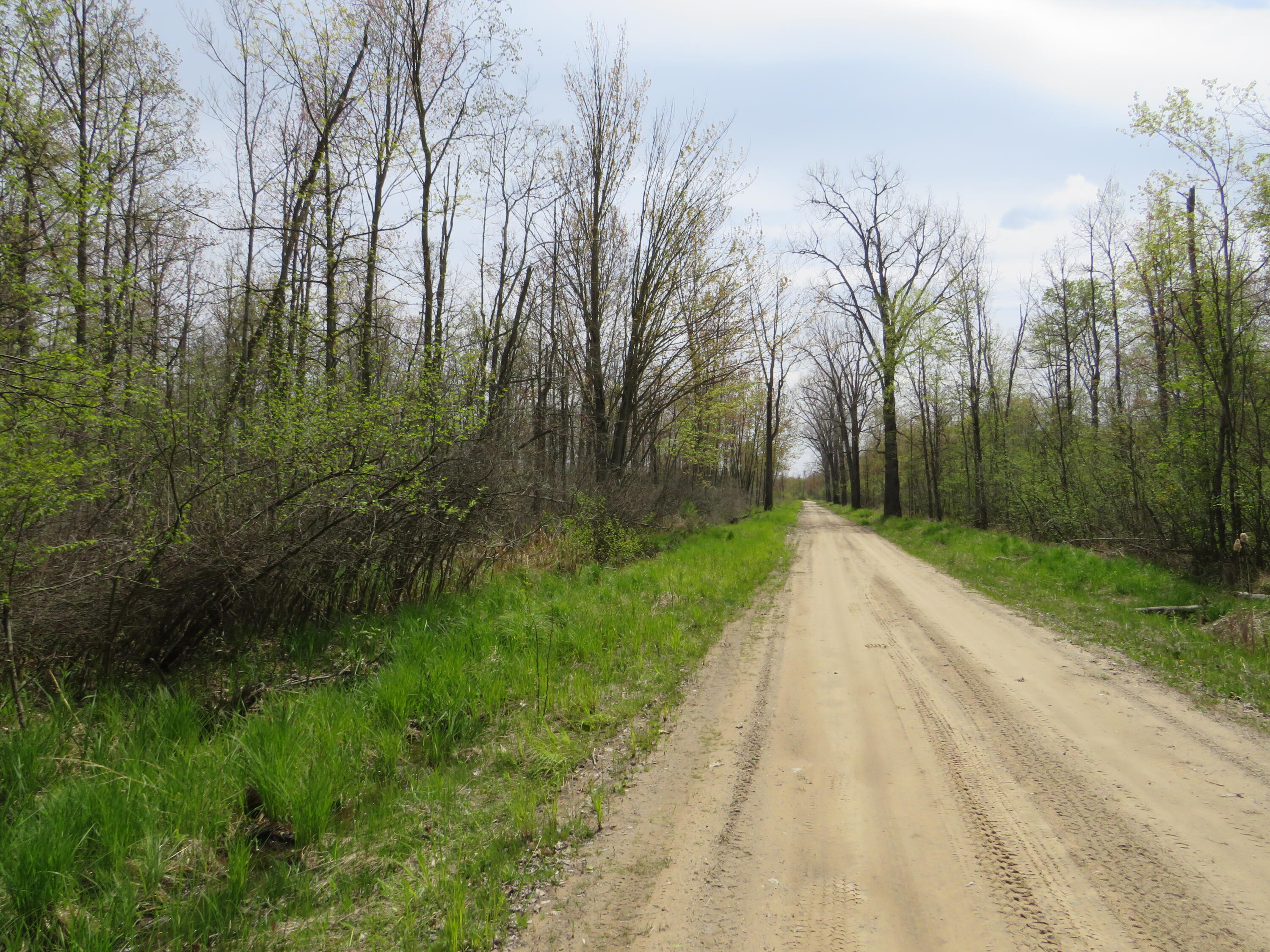 North Chippewa Rd Mount Mount Pleasant, MI 48858 - Photo 22 of 28 IMG_4908