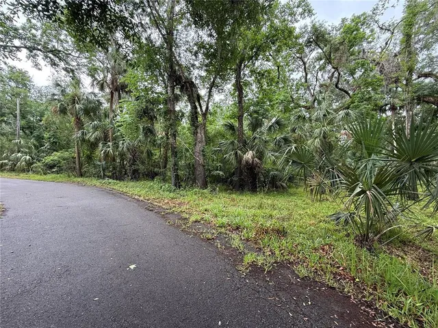 a view of a yard with a trees