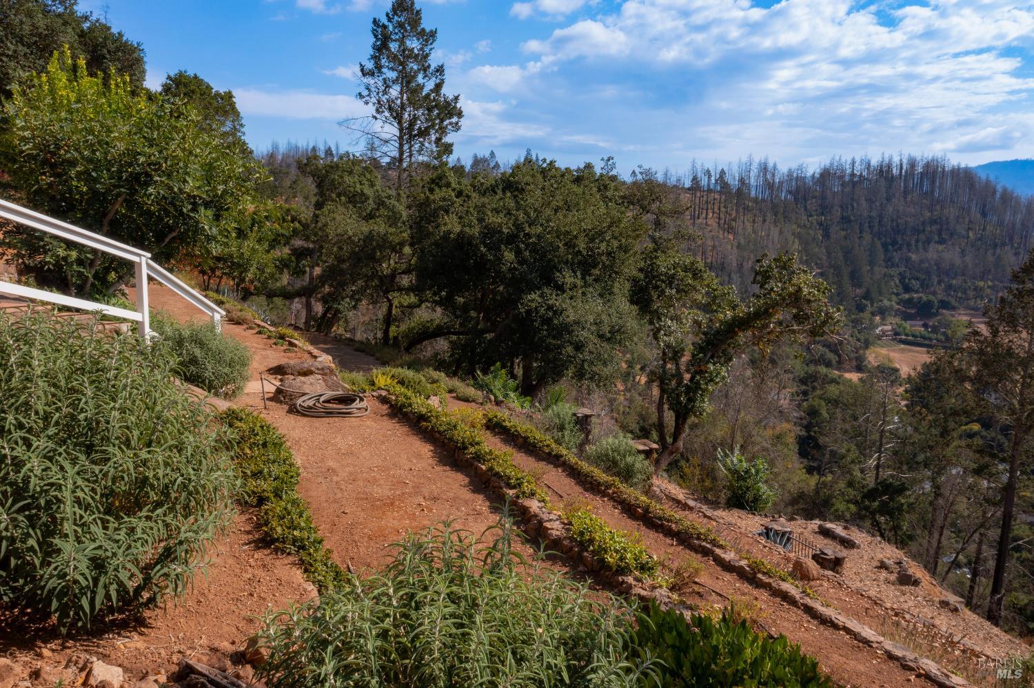 603 Sunnyside Road St. Helena, CA 94574 - Photo 41 of 44