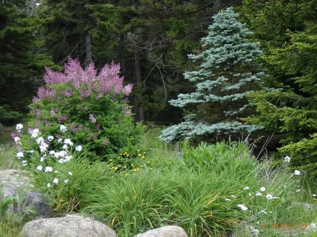 $2,900,000 | 360 Red Point Road, Swans Island, ME 04685