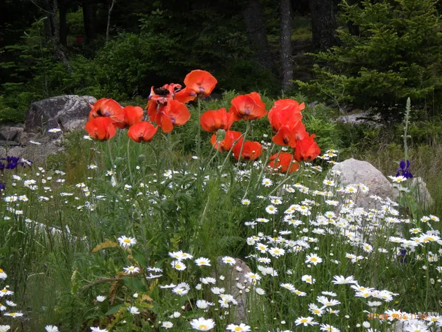 $2,900,000 | 360 Red Point Road, Swans Island, ME 04685