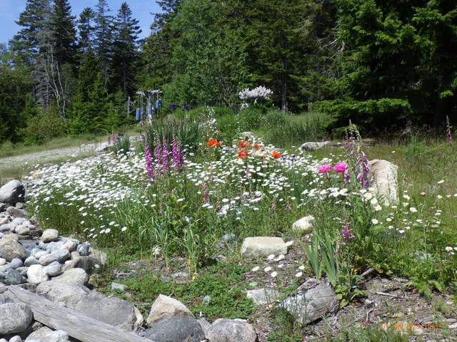 $2,900,000 | 360 Red Point Road, Swans Island, ME 04685