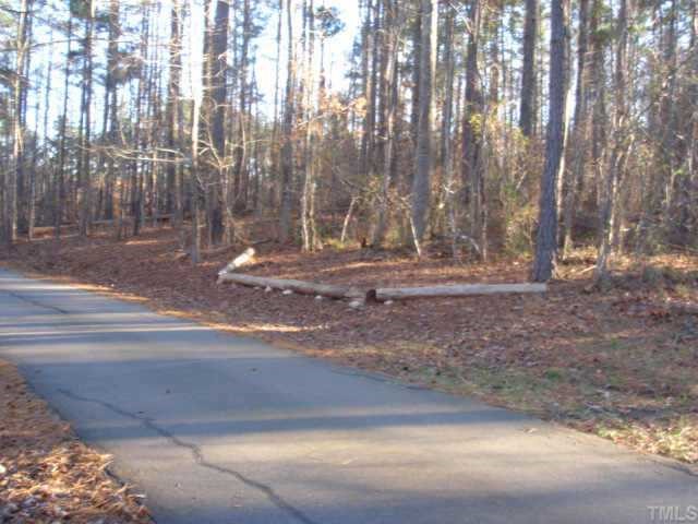 11406 Hickory Grove Church Road, Unit 22 Raleigh, NC 27613 - Photo 2 of 4 a view of yard with trees