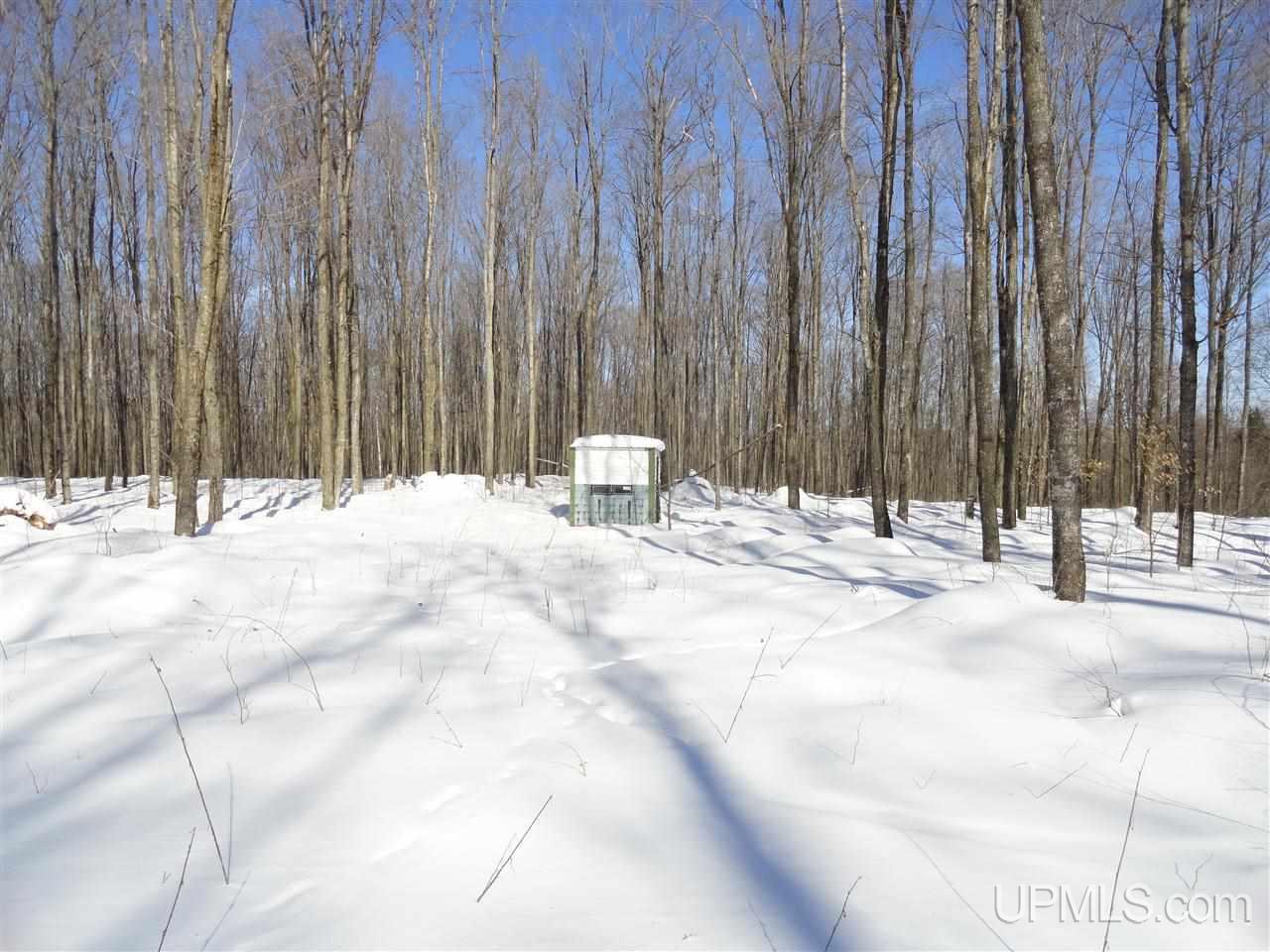 180-acres Lind Road Crystal Falls, MI 49920 - Photo 27 of 33 Gallery Image 27