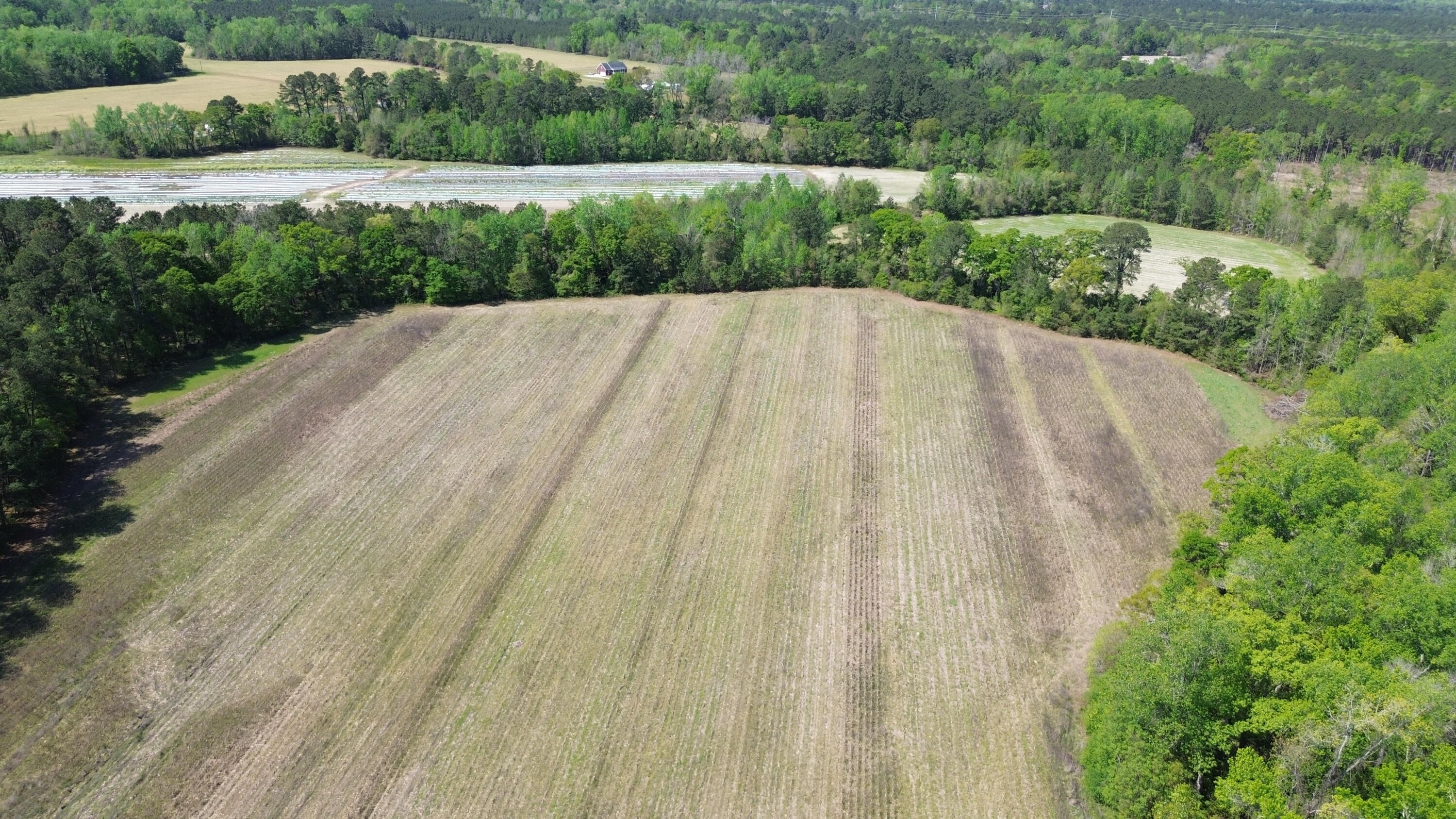 121 Old Spell Road St. George, SC 29477 - Photo 4 of 24 Farm Land