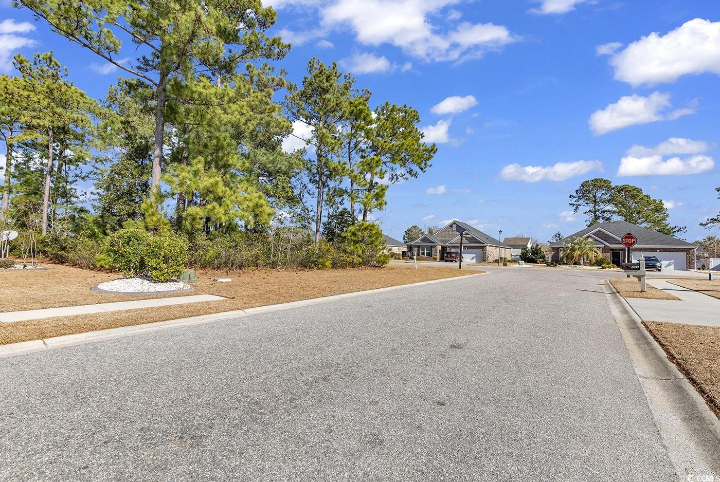 700 Chisholm Road Myrtle Beach, SC 29579 - Photo 3 of 13 Gallery Image 3
